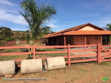 FAZENDA A VENDA - PECUÁRIA - 368 hectares - LASSANCE (MG)