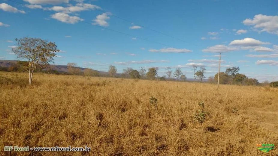 FAZENDA LAVOURAS - 240 hectares - PIRAPORA (MG)