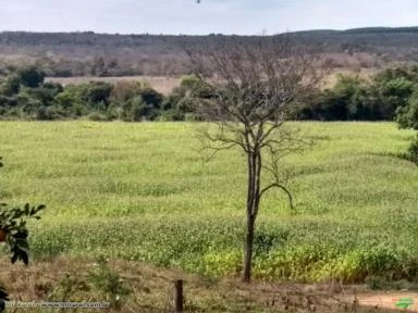 FAZENDA A VENDA - 130 hectares - INIMUTABA (MG)