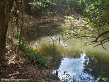 FAZENDA A VENDA - 130 hectares - INIMUTABA (MG)