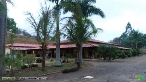 FAZENDA A VENDA - 447,50 hectares - REGIÃO PEQUI (MG)