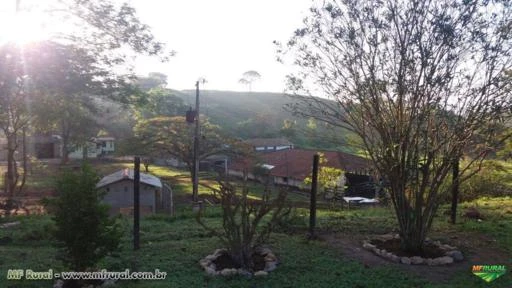 FAZENDA A VENDA - 447,50 hectares - REGIÃO PEQUI (MG)