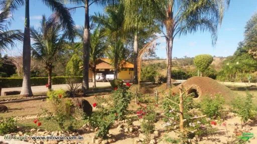 FAZENDA A VENDA - 447,50 hectares - REGIÃO PEQUI (MG)