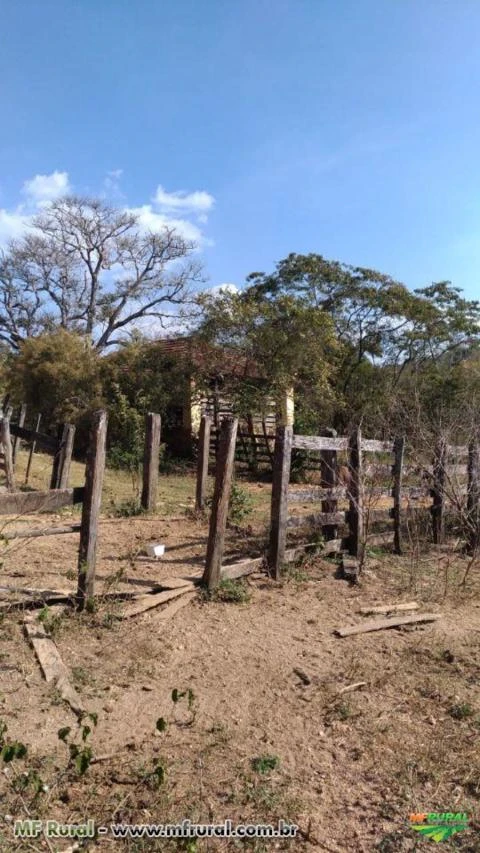 FAZENDA PECUÁRIA - 316 hectares - IBIÁ (MG)