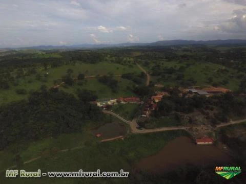 FAZENDA A VENDA - HARAS - 50 hectares - REGIÃO BARÃO DE COCAIS (MG)