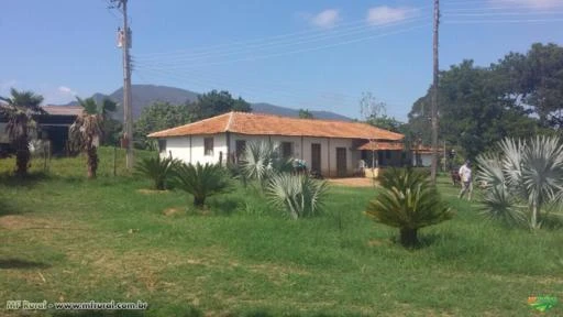 FAZENDA A VENDA - 1.272 hectares - AUGUSTO DE LIMA (MG)