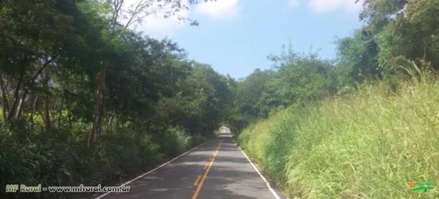 FAZENDA A VENDA - 1.272 hectares - AUGUSTO DE LIMA (MG)