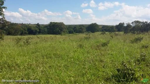 FAZENDA A VENDA - 1.272 hectares - AUGUSTO DE LIMA (MG)