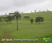 FAZENDA A VENDA - 1.500 hectares - VARGEM BONITA (MG)