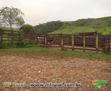 FAZENDA A VENDA - 1.500 hectares - VARGEM BONITA (MG)