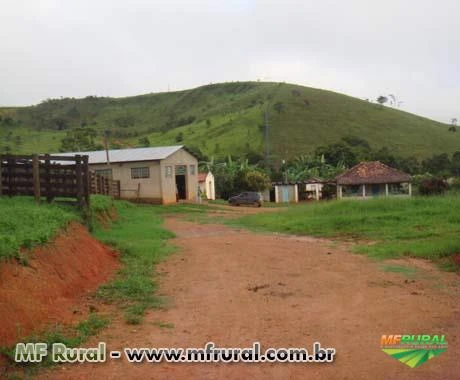 FAZENDA A VENDA - 1.500 hectares - VARGEM BONITA (MG)