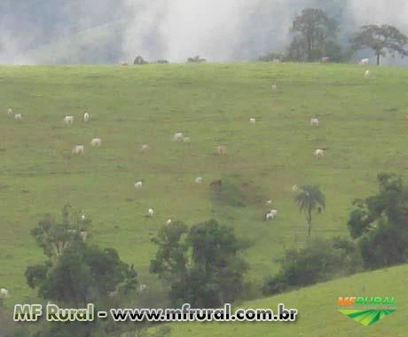 FAZENDA A VENDA - 1.500 hectares - VARGEM BONITA (MG)