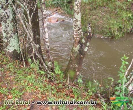 FAZENDA A VENDA - 1.500 hectares - VARGEM BONITA (MG)