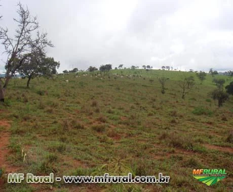 FAZENDA A VENDA - 1.500 hectares - VARGEM BONITA (MG)