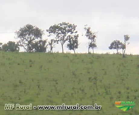 FAZENDA A VENDA - 1.500 hectares - VARGEM BONITA (MG)