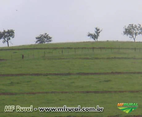 FAZENDA A VENDA - 1.500 hectares - VARGEM BONITA (MG)