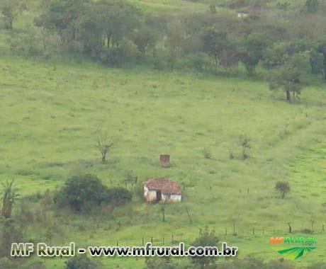 FAZENDA A VENDA - 1.500 hectares - VARGEM BONITA (MG)