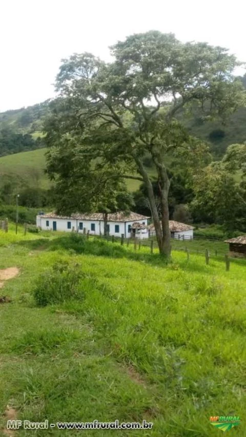 FAZENDA A VENDA - 143 hectares - SÃO TIAGO (MG)