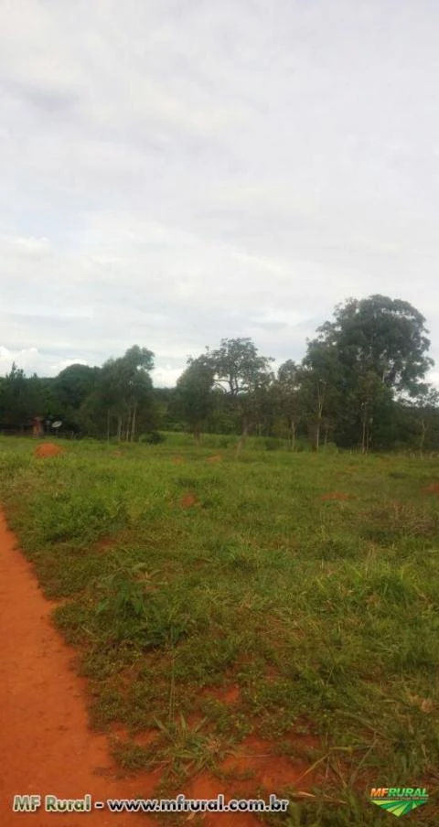 FAZENDA A VENDA - 252 hectares - TRÊS MARIAS (MG)