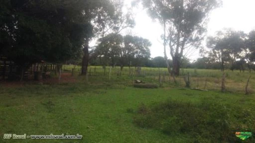 FAZENDA A VENDA - 252 hectares - TRÊS MARIAS (MG)