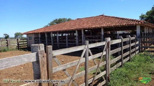 FAZENDA A VENDA - 526 hectares - CORINTO (MG)