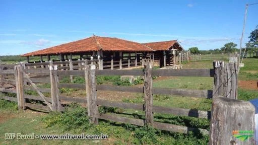 FAZENDA A VENDA - 526 hectares - CORINTO (MG)