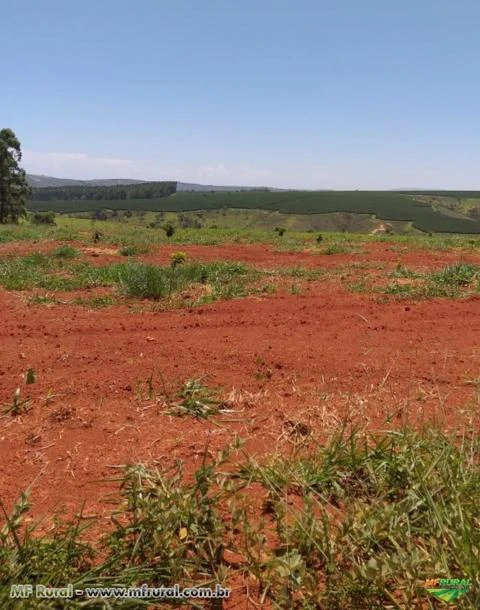 FAZENDA À VENDA - 290,40 HECTARES - SÃO ROQUE DE MINAS (MG)