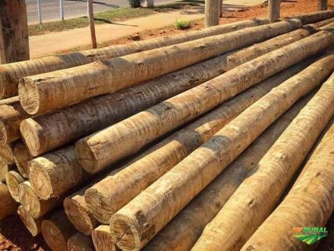 MADEIRAS PARA CERCAS Imagem MADEIRAS PARA CERCAS