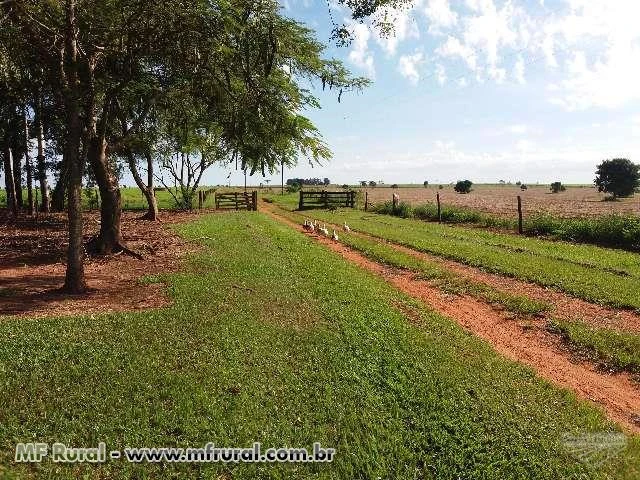 Fazenda dupla aptidão