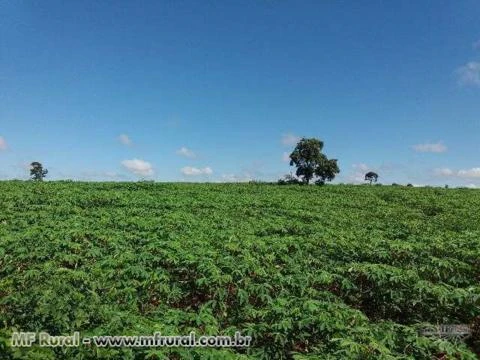 Fazenda dupla aptidão