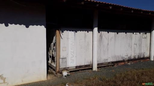 Imagem Fabrica de polpa de fruta Imagem Fabrica de polpa de fruta