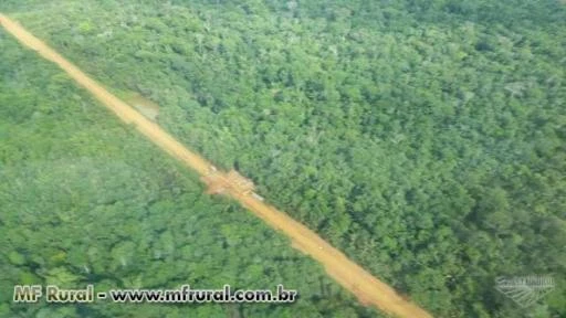 FAZENDA DE 10 MIL HECTARES NO SUL DO AMAZONAS
