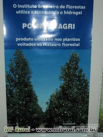 Polim-Agri insumos Agroflorestais