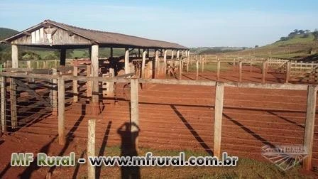 Otimo prazo fazenda norte paraná em kaloré-pr