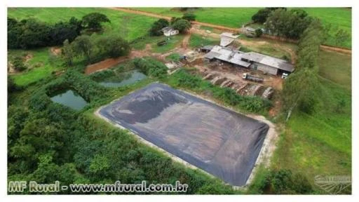 Industria de Farinha de mandioca