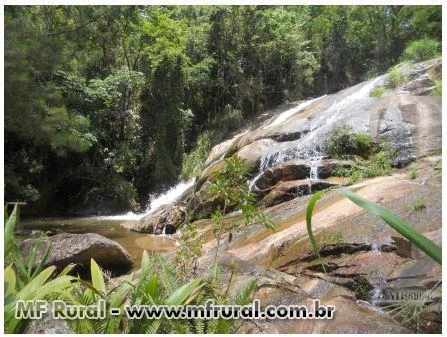 Sitio Dona Cachoeira