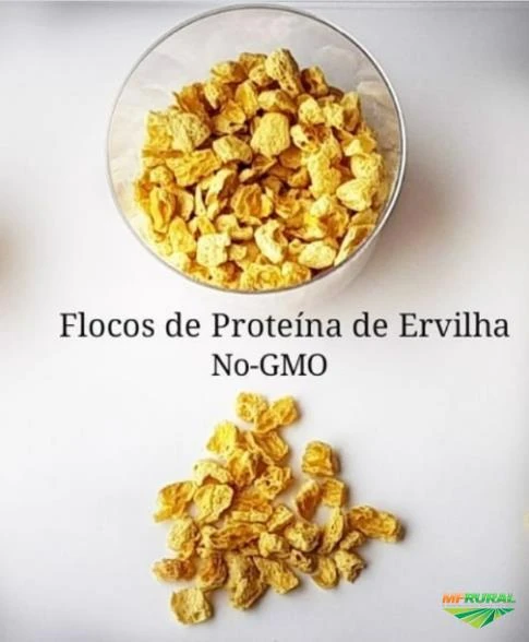 PROTEÍNA TEXTURIZADA DE ERVILHA (Não Transgênica)