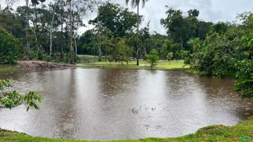 Sítio em Reserva Ecológica na Beira do Rio Mar Pequeno 214 mil metros