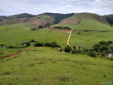 Fazenda Belíssima de 260 Ha. na região de Guaratinguetá (SP)