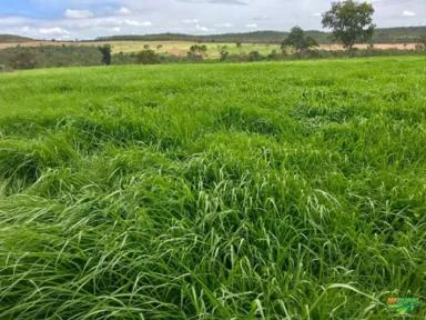 Fazenda a Venda de porteira fechada