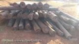 Estacas de madeira de acapu a aroeira do Pará