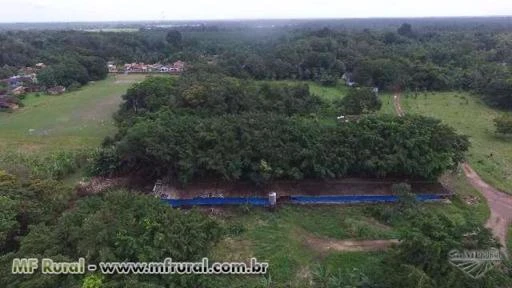 Granja de aves na AMAZONIA