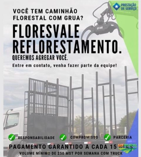 Procuro Alugo / contrato caminhão para frete de madeira Imagem Procuro Alugo / contrato caminhão para frete de madeira