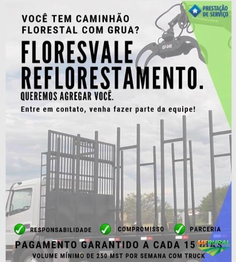 Procuro Alugo / contrato caminhão para frete de madeira Imagem Procuro Alugo / contrato caminhão para frete de madeira
