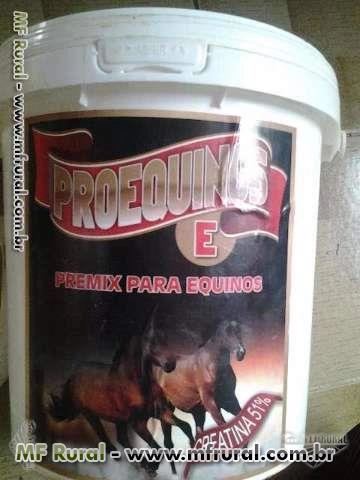 Equinos-E 2,5 kg Imagem Equinos-E 2,5 kg