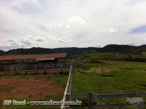 Fazenda para pecuária e lavoura região de Echaporã, interior de são paulo