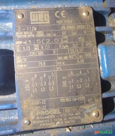 Politriz elétrica 2 cv Trif weg 800 RPM C6452