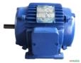 Motor elétrico 1/4 cv Tri 1700 rpm 4 p Recondicionado C3001 Imagem Motor elétrico 1/4 cv Tri 1700 rpm 4 p Recondicionado C3001