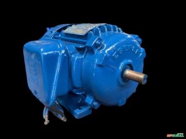Motor elétrico 3/4 cv Tri 1700 rpm 4 p Recondicionado C3004