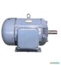 Motor elétrico 60 cv Tri 1700 rpm 4 p Recondicionado C3021 Imagem Motor elétrico 60 cv Tri 1700 rpm 4 p Recondicionado C3021